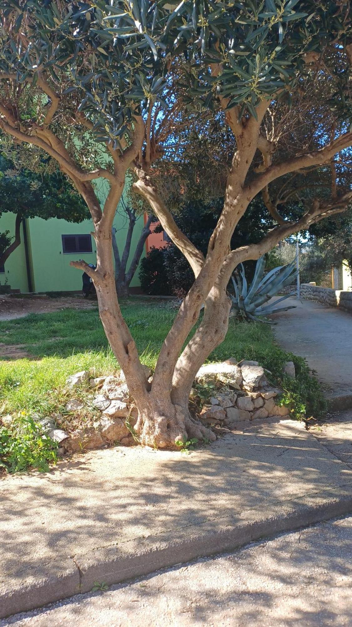 Ferienwohnung Dairos2 Mali Lošinj Exterior foto